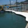 Защитное покрытие бетонных дорожек и сцены дельфинария