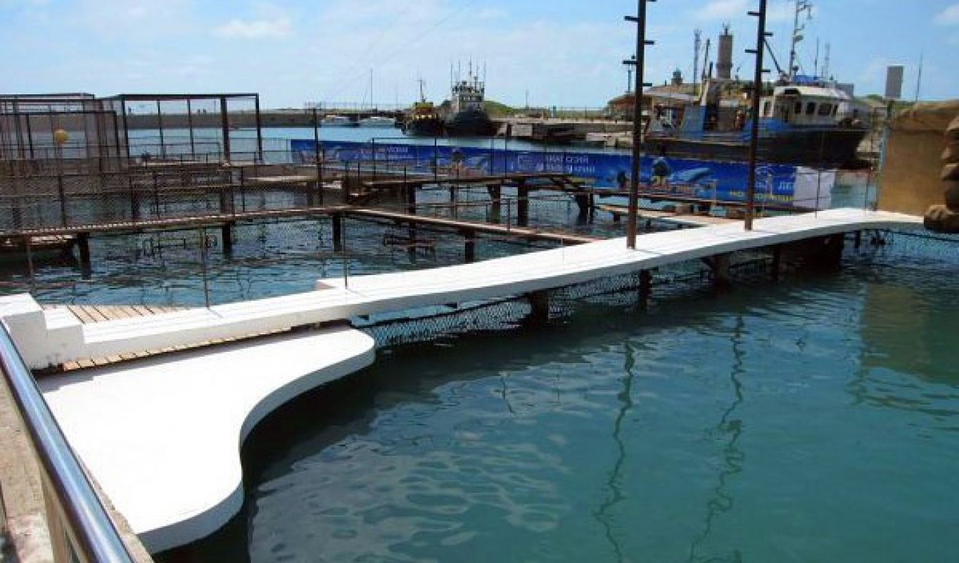 Защитное покрытие бетонных дорожек и сцены дельфинария